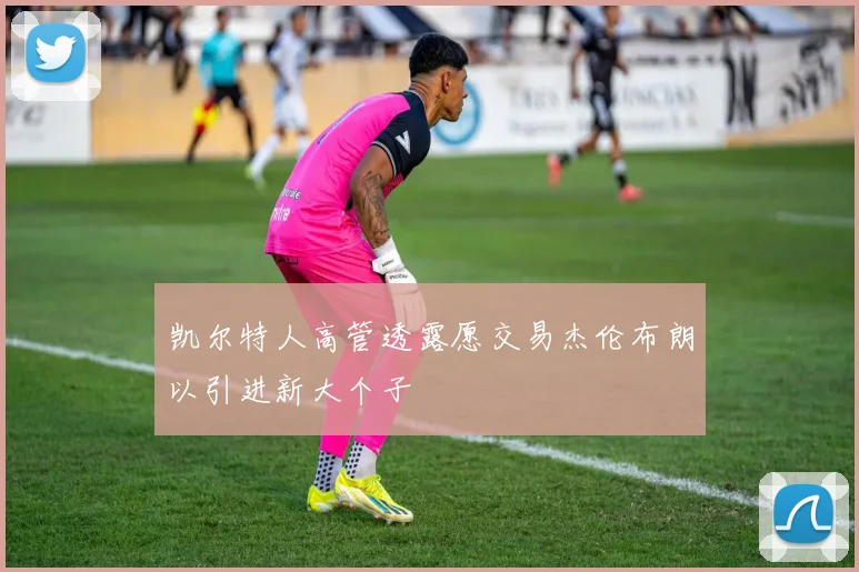 凯尔特人高管透露愿交易杰伦布朗以引进新大个子